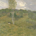 Collines couvertes de bouleaux - Ben Foster — Ansicht des Kunstwerks