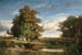 Le Marais - Constant Troyon — Ansicht des Kunstwerks