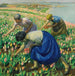 Cueilleurs de tulipes - Harold Harvey — Ansicht des Kunstwerks