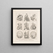 Embleme der Sonntagsschule - Currier Ives — gerahmtes Bild an der Wand