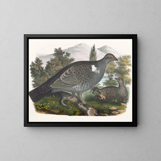 Daniel Giraud Elliot - Richardsons Grouse.webp