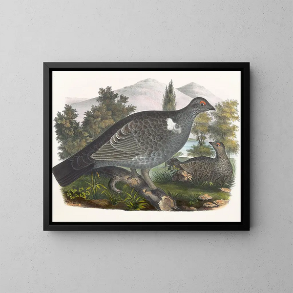 Grouse de Richardson - Daniel Giraud Elliot — gerahmtes Bild an der Wand