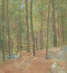 in den Kiefernwäldern - Emil Carlsen — Ansicht des Kunstwerks