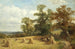 Ein Maisfeld in West Malvern - David Bates — Ansicht des Kunstwerks