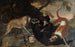 Jagd auf den Bären - David Klöcker Ehrenstrahl — Ansicht des Kunstwerks