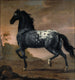 Die Lebensgeschichte von Karl XI am Tiger - David Klöcker Ehrenstrahl — Ansicht des Kunstwerks
