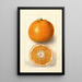 Reproduktion des Gemäldes Citrus sinensis Thornton No - Deborah Griscom Passmore