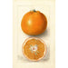 Reproduktion des Gemäldes Citrus sinensis Thornton No - Deborah Griscom Passmore