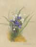 Album Aquarell von Deborah Griscom Passmore Pl01 - Deborah Griscom Passmore — Ansicht des Kunstwerks