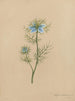 Album Aquarell von Deborah Griscom Passmore Pl05 - Deborah Griscom Passmore — Ansicht des Kunstwerks