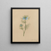 Album Aquarell von Deborah Griscom Passmore Pl05 - Deborah Griscom Passmore — gerahmtes Bild an der Wand
