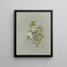 Album Aquarell von Deborah Griscom Passmore Pl09 - Deborah Griscom Passmore — gerahmtes Bild an der Wand