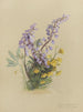 Album Aquarell von Deborah Griscom Passmore Pl10 - Deborah Griscom Passmore — Ansicht des Kunstwerks
