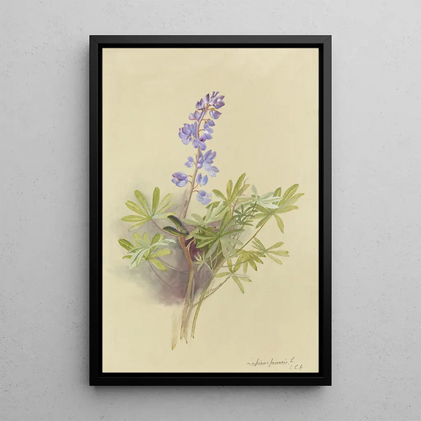 Deborah Griscom Passmore - Deborah Griscom Passmore watercolor album Pl11.webp