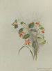 Album Aquarell von Deborah Griscom Passmore Pl15 - Deborah Griscom Passmore — Ansicht des Kunstwerks