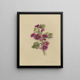 Deborah Griscom Passmore - Deborah Griscom Passmore watercolor album Pl16.webp