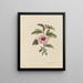 Album Aquarell von Deborah Griscom Passmore Pl19 - Deborah Griscom Passmore — gerahmtes Bild an der Wand