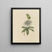 Album Aquarell von Deborah Griscom Passmore Pl20 - Deborah Griscom Passmore — gerahmtes Bild an der Wand