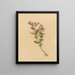 Album Aquarell von Deborah Griscom Passmore Pl21 - Deborah Griscom Passmore — gerahmtes Bild an der Wand