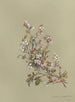 Album Aquarell von Deborah Griscom Passmore Pl25 - Deborah Griscom Passmore — Ansicht des Kunstwerks