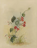 Album Aquarell von Deborah Griscom Passmore Pl34 - Deborah Griscom Passmore — Ansicht des Kunstwerks