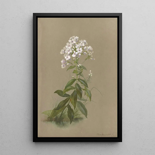 Deborah Griscom Passmore - Deborah Griscom Passmore watercolor album Pl35.webp