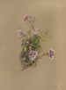 Album Aquarell von Deborah Griscom Passmore Pl39 - Deborah Griscom Passmore — Ansicht des Kunstwerks