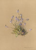 Album Aquarell von Deborah Griscom Passmore Pl40 - Deborah Griscom Passmore — Ansicht des Kunstwerks