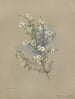 Album Aquarell von Deborah Griscom Passmore Pl47 - Deborah Griscom Passmore — Ansicht des Kunstwerks