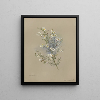 Deborah Griscom Passmore - Deborah Griscom Passmore watercolor album Pl47.webp