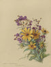 Album Aquarell von Deborah Griscom Passmore Pl51 - Deborah Griscom Passmore — Ansicht des Kunstwerks