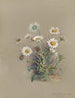 Album Aquarell von Deborah Griscom Passmore Pl52 - Deborah Griscom Passmore — Ansicht des Kunstwerks
