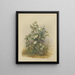 Album Aquarell von Deborah Griscom Passmore Pl53 - Deborah Griscom Passmore — gerahmtes Bild an der Wand