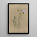 Album d'aquarelles de Deborah Griscom Passmore Pl57 - Deborah Griscom Passmore — gerahmtes Bild an der Wand