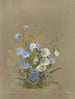 Album Aquarell von Deborah Griscom Passmore Pl58 - Deborah Griscom Passmore — Ansicht des Kunstwerks