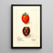 Diospyros Zengi Maru - Deborah Griscom Passmore — gerahmtes Bild an der Wand