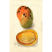 Reproduktion des Gemäldes Mangifera indica Ennuria - Deborah Griscom Passmore