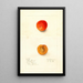 Reproduktion des Gemäldes Prunus domestica Golden Queen - Deborah Griscom Passmore