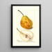 Reproduktion des Gemäldes Pyrus communis Président Gilbert - Deborah Griscom Passmore