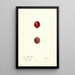 Ribes Industrie - Deborah Griscom Passmore — gerahmtes Bild an der Wand