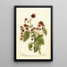 Reproduktion des Gemäldes Rubus Cardinal - Deborah Griscom Passmore