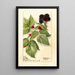 Reproduktion des Gemäldes Rubus Conrath - Deborah Griscom Passmore