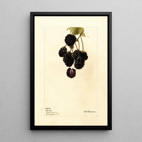 Rubus Lawton - Deborah Griscom Passmore — gerahmtes Bild an der Wand