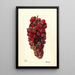 Vitis Bauch - Deborah Griscom Passmore — gerahmtes Bild an der Wand