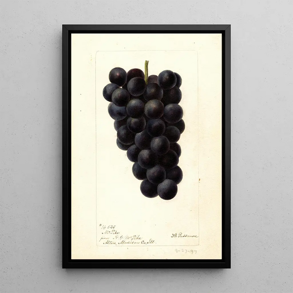 Reproduktion des Gemäldes Vitis McPike - Deborah Griscom Passmore
