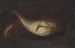 Stillleben mit zwei Fischen - Domenico Grosso — Ansicht des Kunstwerks