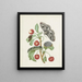Metamorphose eines kleinen Kaiser-Schmetterlings - Dorothea Maria Gsell — gerahmtes Bild an der Wand