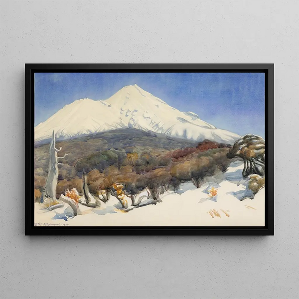Dorothy Richmond - Mount Egmont.webp