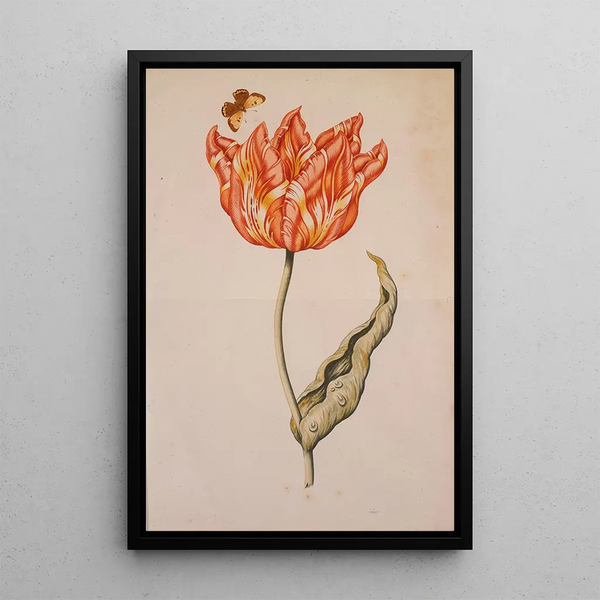 Reproduktion des Gemäldes Eine orange und gelbe Tulpe mit einem Schmetterling - Niederländische Schule
