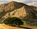 Eichen und Felsen in San Luis Obispo - Edward Bruce — Ansicht des Kunstwerks
